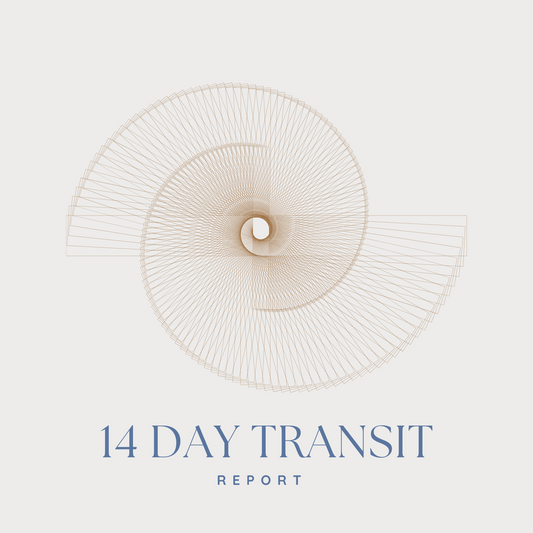 14 Day Transit Report