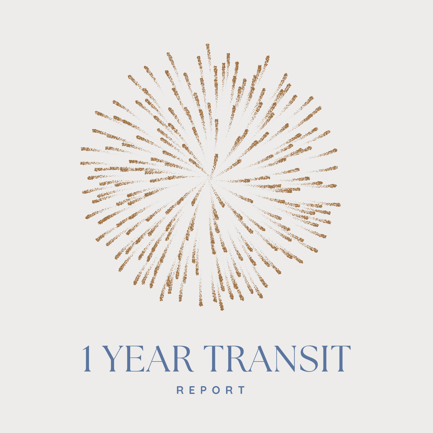 1 Year Transit Report